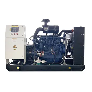 Tanaman Generasi Listrik Biomass 50KW 100KW 150KW 200KW Chp Generator Listrik Api Kayu Singas