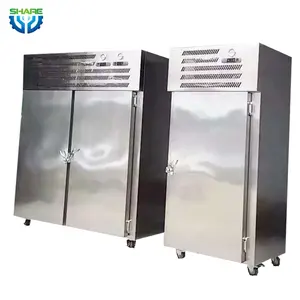 All in One Quick Freeze for Frozen Durian Instant Tunnel Freezer Iqf