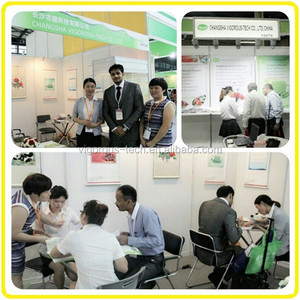 Chất Lượng Cao Bưởi Hạt Chiết Xuất/Citrus Paradisi L. Extract Bột - Product Image 3