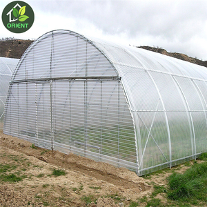 Alta Tunnel Serra Utilizzato Per La Vendita - Product Image 3