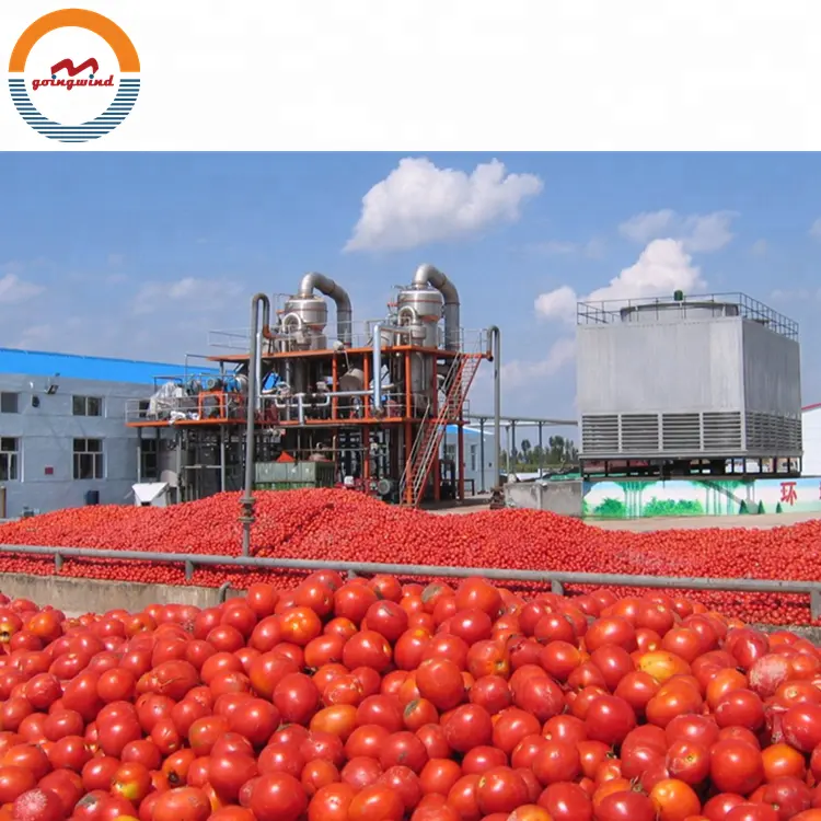 Processamento de pasta de tomate e linha de embalagem totalmente automática pode tomate pasta fazendo preço da máquina de produção