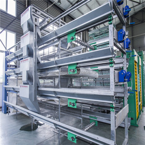 2017 nouveau design automatique <span class=keywords><strong>1</strong></span> poussins d'un <span class=keywords><strong>jour</strong></span> cages pour vente - Product Image 2
