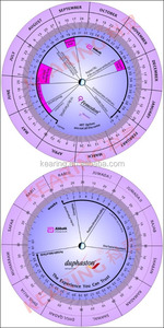 Calcolatore a Ruota OEM Kearing, Ruota di Gravidanza, Calcolatore per Gravidanza, Ruota Medica # PW001 - Product Image 2