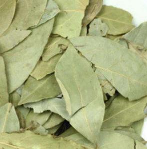 Xiangye tutto Naturale di new secchi laurel leaf Laurus nobilis Bay <span class=keywords><strong>foglia</strong></span> per la spezia - Product Image 2