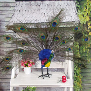 Decoración del hogar del tamaño grande Hobby Lobby plumas de pavo real - Product Image 5