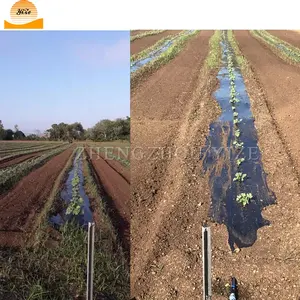 Repiquage domestique, pour semis, oignon et légumes, à commande manuelle