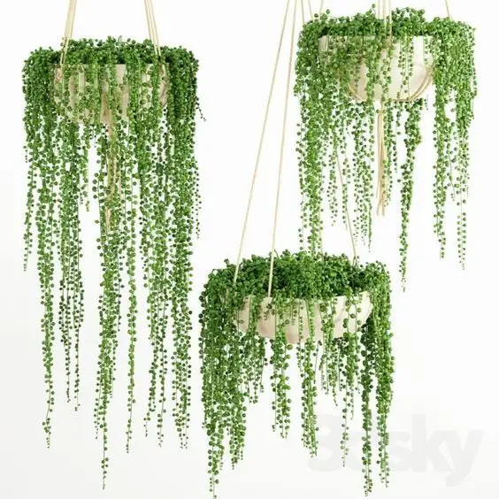 IFG green string of pearls artificial succulent plants for home hanging plants arrangements