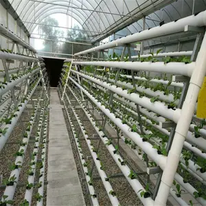 Hydroponic Greenhouse Growing Systems Hydroponic Growing Systems Indoor/Greenhouse For Plant Growth/ Indoor Grow Rack