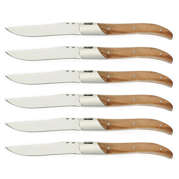 China manufacturer laguiole style 6 pcs steak knifes set with wood handle