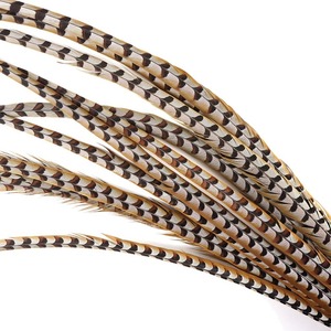16 "-18" Natural Venery Faisán Cola <span class=keywords><strong>de</strong></span> Plumas Para La <span class=keywords><strong>Venta</strong></span> - Product Image 2