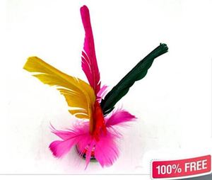 Kualitas Bulu Shuttlecocks Badminton Ukuran Besar Asli China Jianzi - Product Image 5