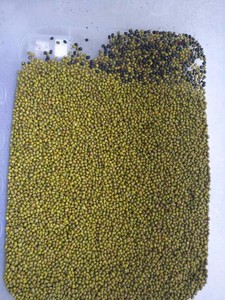 Machine de tri de couleur des grains de haute technologie, trieuse de couleur des grains de café - Product Image 5