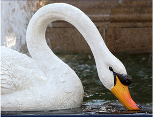 Nhà Máy Bán Sợi Thủy Tinh Nhân Tạo Vườn Kích Thước Cuộc Sống Tượng Thiên Nga Nổi Pond Trang Trí - Product Image 4