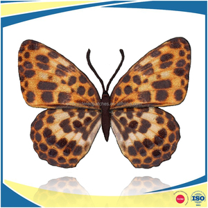 Patch brodé par sublimation motif papillon - Product Image 2