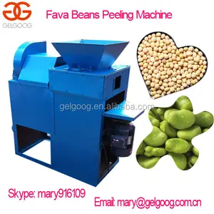 Fava beans peeling máquina | máquina de descamação de vicia faba