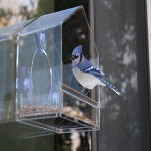 Mangeoire à oiseaux en acrylique transparent de grande taille résistante aux intempéries avec ventouses puissantes et plateau coulissant pour nichoir extérieur - Product Image 6