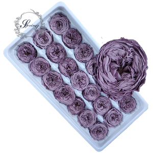 China Lieferant 2-3cm konservierte Austin Rose Blumen rosen für Garten rosen - Product Image 6
