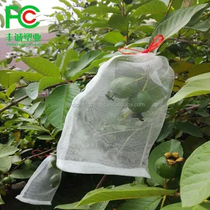 Sample free custom large size transparent drawstring insect net bag supplier,fruit farming white mesh bag insect barrier net bag