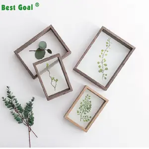 Creative plant specimen DIY Glas Houten Frame