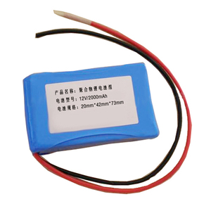 Lot Batterie Lithium 12V 2000mAh (2Ah) Rechargeable - 101x42x13mm - G1E2