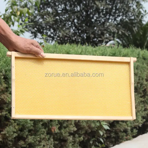 Di legno Langstroth Abete Honey Bee Hive Telaio Aziende Agricole Fornito 1 ANNO On-Line di Supporto Al Minuto Del Motore MOTORE Prodotto Ordinario Pompa Cina