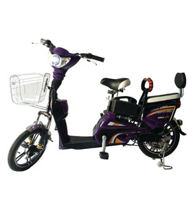 E <span class=keywords><strong>bici</strong></span> 48 V largo alcance 20 pulgadas bicicleta eléctrica vendimia - Product Image 5
