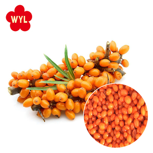 Высококачественные Замороженные ягоды облепихи Облепиха IQF Замороженные ягоды облепихи - Product Image 3