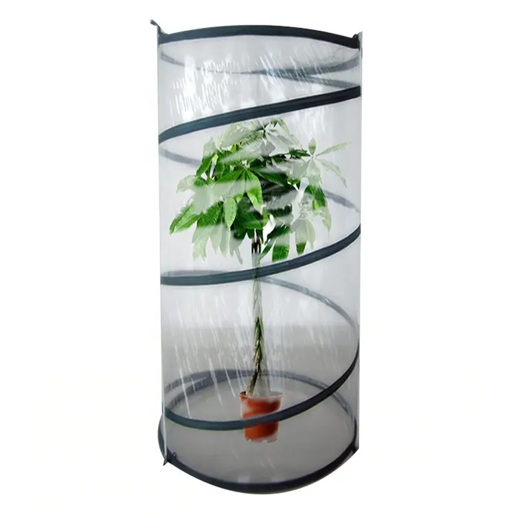 Greenhouse Garden Pop up Mini Greenhouse Agricultural Grow Tent Specialized Round Cheap Plastic Metal Iron Carton Box Not Coated