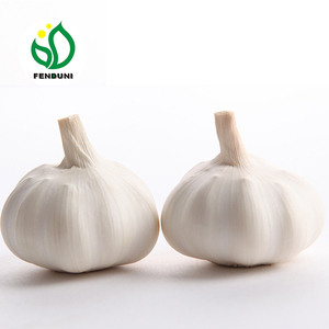 Aglio per Esportazione e Importazione (Mercato del Bangladesh e dello Sri Lanka) - Product Image 1