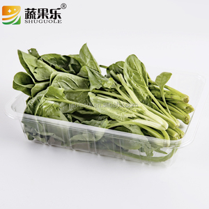 Disposable clear Eco Friendly <strong>Blister</strong> PET <strong>Vacuum</strong> Thermoforming Transparent <strong>Plastic</strong> Food Tray/fruit Trays for Fresh Food