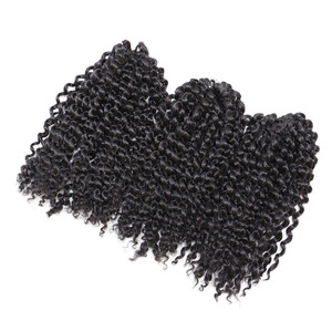 Estensioni per Capelli Sintetiche Intrecciate Afro Kinky Curly da 8 Pollici, Trecce Marly Sintetiche Ombre con Effetto Ondulato - Product Image 6