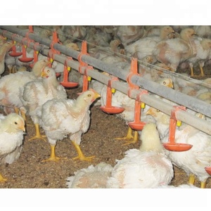 닭 물 라인 장비 - Product Image 4