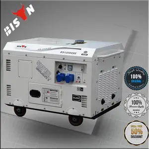 들소( 중국) 10kw 10 KVA 10 KVA 10,000와트 디젤 발전기 가격 설정 낮은 RPM 자동 혼다 3 상 디젤 발전기