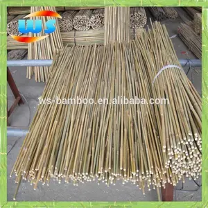 Canne en bambou tressé, pour décoration de jardin, 4 'X 8-10mm
