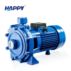 Happy Cast Iron 4 Hp 3kw Kuningan Pendorong Ganda Pompa Sentrifugal Horizontal