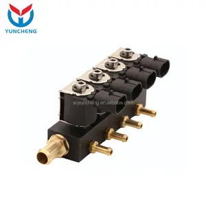 YCI03011 OEM 4Cyl एलपीजी इंजेक्टर रेल