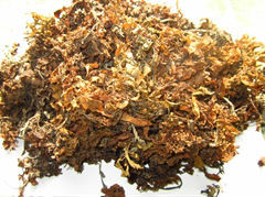 Sargsum-KATIE séché au sec, + 84795877933 - Product Image 2