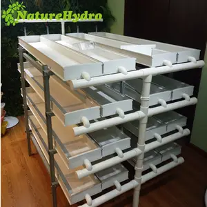 Hydroponic fodder system/barley/oats/alfalfa microgreen growing system