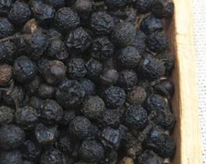 Fornitura all'ingrosso senza conservanti essiccati nuovi frutti di Piper cubeba naturali sfusi per la vendita di spezie - Product Image 3