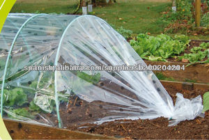 Transparent tunnel choche cover for vegetables - Product Image 1
