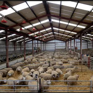 prefab house steel structure sheep barn shed