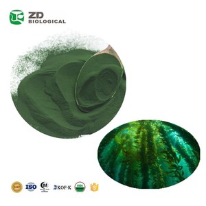 ZD fournit de la spiruline organique/poudre de chlorella/qualité alimentaire à haute teneur en protéines - Product Image 5