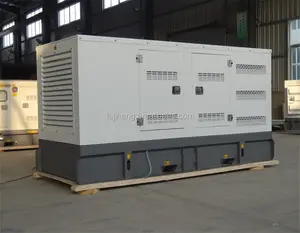 Звукоизоляционный бесшумный дизельный генератор 200 кВт 250 кВА (Одобрено CE/ISO)