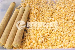 Sanayi mısır harman makinesi mısır daneleme makinesi - Product Image 3