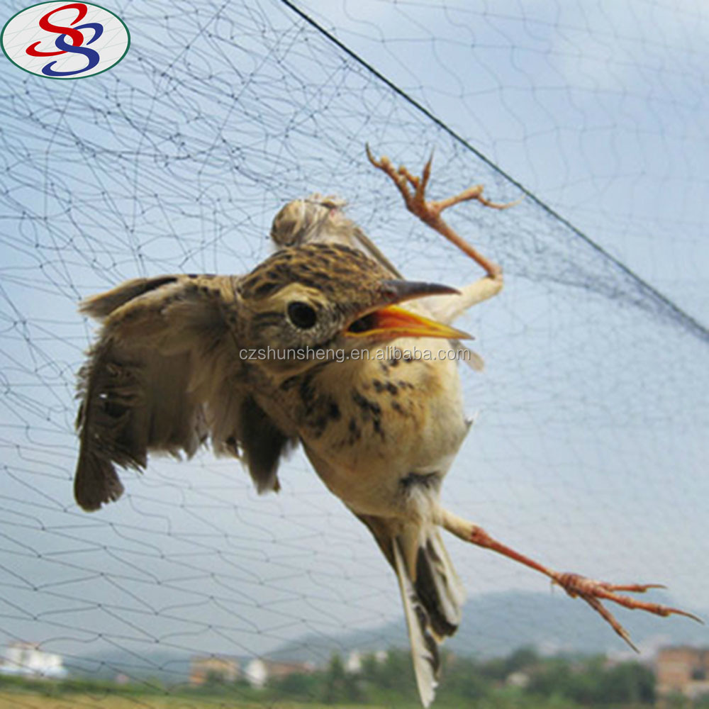 Filets de jardin en matériau hdpe, capture d'oiseaux, prix incroyable, nouveau