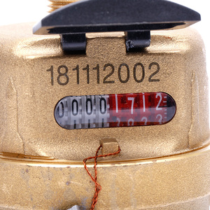 Piston rotatif standard ISO 4064 en laiton, de <span class=keywords><strong>classe</strong></span> <span class=keywords><strong>C</strong></span>, mesure du volume de l'<span class=keywords><strong>eau</strong></span> froide - Product Image 6