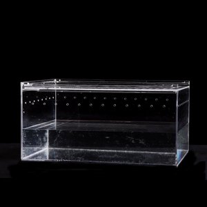 Terrario in Plexiglass per Rettili, Gabbia in Acrilico per Ragni, Lucertole, Gechi e <span class=keywords><strong>Serpenti</strong></span> - Product Image 5