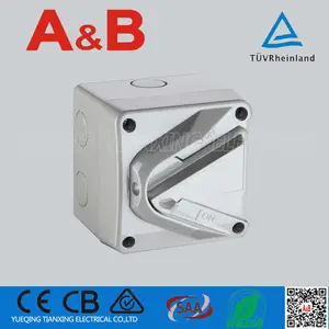 Tianxing Elektrische 1 Pole 15A Mini Weerbestendig Rotary Isolator Schakelaar met SAA