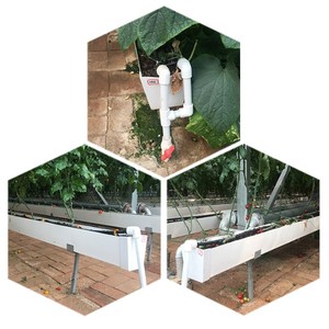 Uso agrícola, sistema hidropónico de canaletas para el cultivo de fresas, invernadero hidropónico de canaletas de fresas