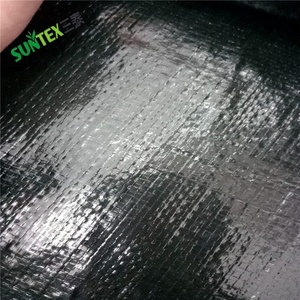 350gsm HDPE noir tissé renforcé géomembrane tissu polyéthylène doublure pisciculture 12*15m, couverture de décharge en plastique Flexible - Product Image 1